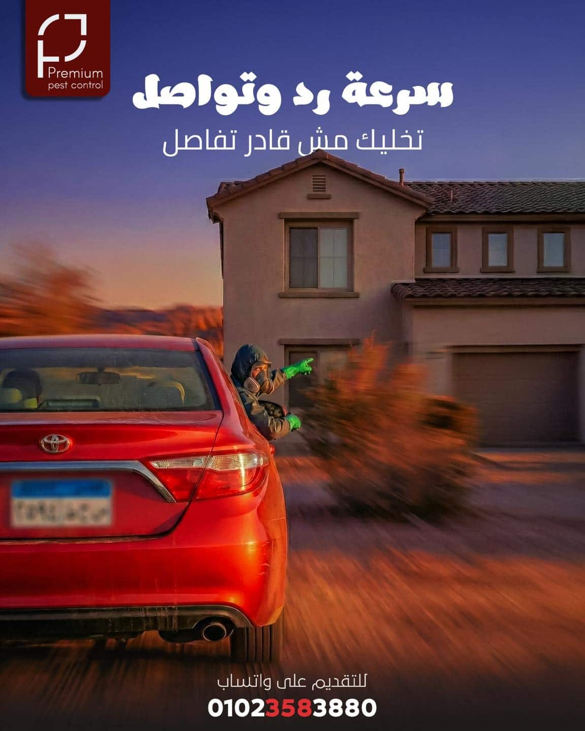 595694845 917118511481483 2634020639437844770 n