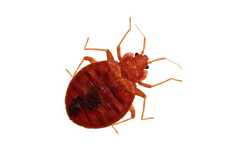 poloska ocoq4n7w4bwlsmanmm72zafdgddo20e6yxjxaystps